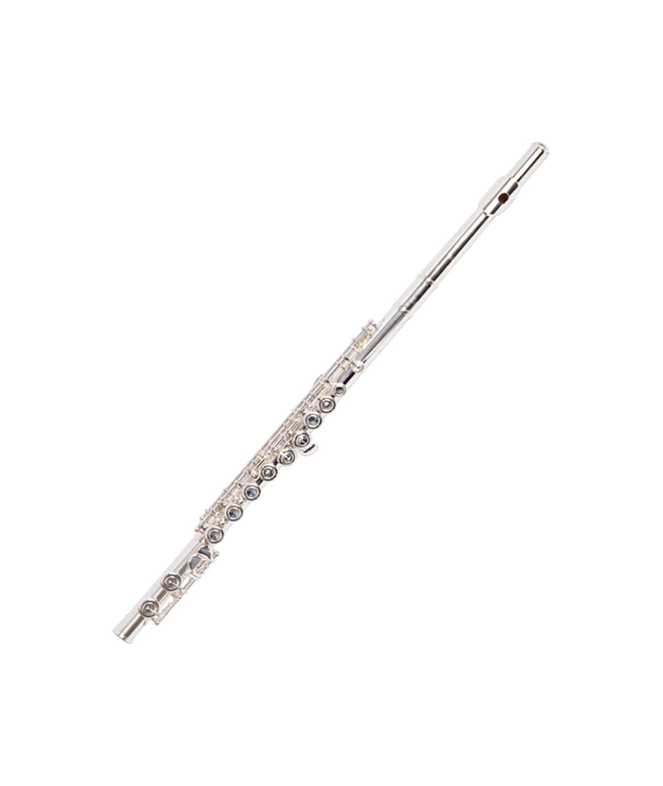 Flauto Chiave C Standard Per Esame Professionale Per Principianti Dello Strumento(B)