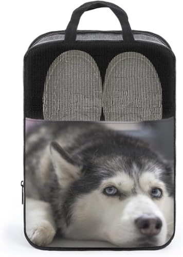 V[YP[XĂVxAnXL[V[Y|[`V[YobOV[Y܌C΂Cꎝ^ѕ֗V[Y[StV[YP[X[obO@\ʋCjpsoAEghAv[g