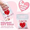 JOYIN 36 Pcs Valentines Day Cellophane Gift Bag,Candy Treat Bags,Goodie Bags with 6 Themed Designs for Kids Party Favors, Classroom Exchange Prizes, Valentines Cookie Bags
