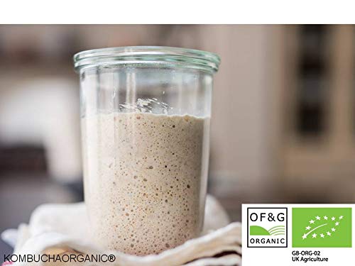 Faire son levain : idées recettes pour préparer votre propre levain