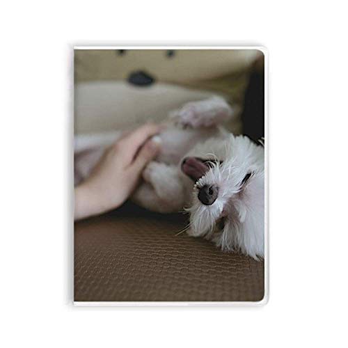 Carnet pour chien souple blanc idéal journal de bord animal