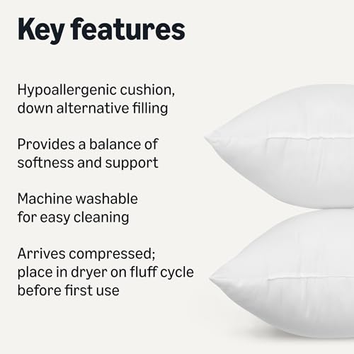 Image of Amazon Basics Square Hypoallergenic Pillow Insert, Down Alternative Fiberfill, Sofa Bed Couch Decorative Stuffer, 18 inch, 2-Pack