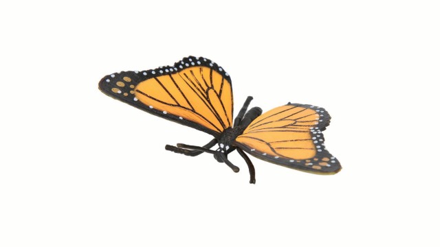 Earthwarm Ciclo Di Vita Degli Animali – 4 Figurine Modello Crescita Di Insetti E Creature, Giocattolo Educativo Per Bambini - 5