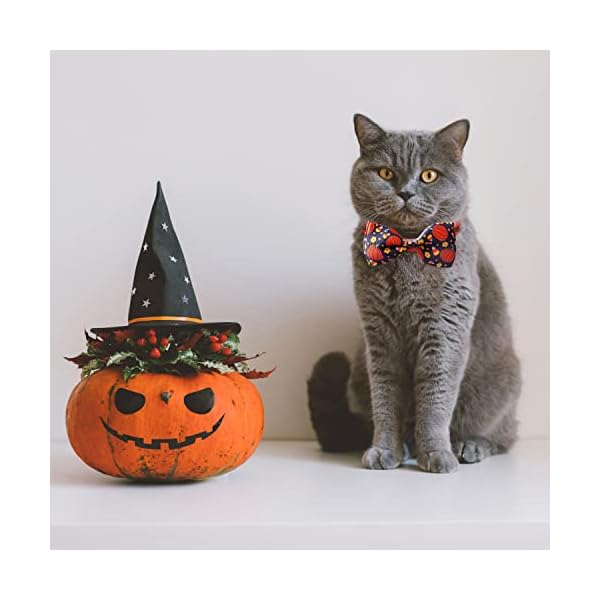 2 pack halloween cat collar with bow tie and bell, holiday pumpkin candy corn collar for kitty kitten girls and boys cats - image 8