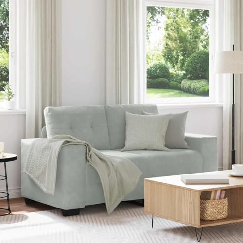 Sofá loveseat de terciopelo gris claro con diseño elegante de 160 cm 2
