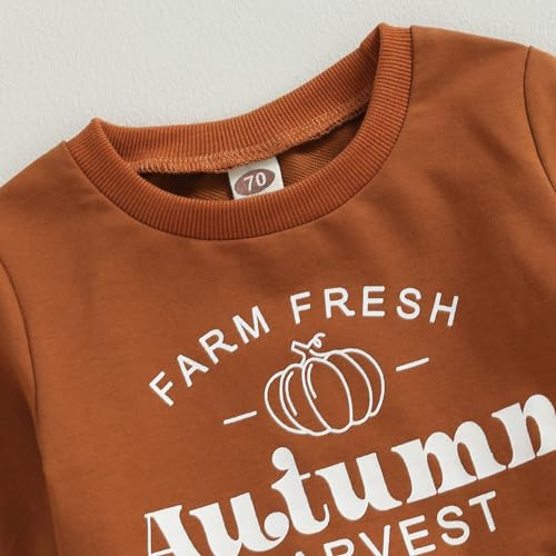 Baby Boy Fall Clothes Toddler Boy Halloween Outfit Patch Pumpkin Sweatshirt Long Sleeve Shirt Top (Brown, 2-3 Years)4