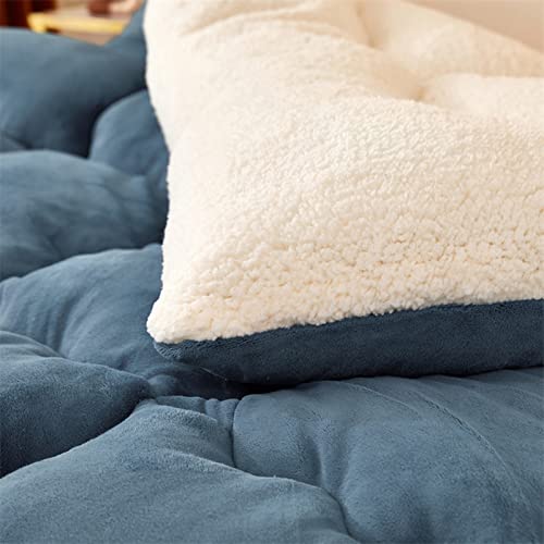 Cozy Thicker Warmth Quilt Comforter, Soft Super Thick Winter Warm Blanket Artificial Lamb Cashmere Weighted Blankets for Beds,blue,200 * 230cm 5kg