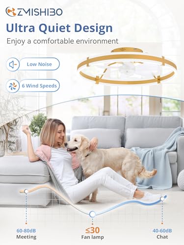 Image of ZMISHIBO 24 Inch Ceiling Fans with Lights and Remote, Modern Low Profile Ceiling Fan, 3000-6000K Dimmable Flush Mount LED Fan Light, 6 Wind Speeds, Fandelier Ceiling Fans for Bedroom- Gold