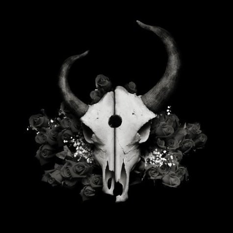 Amazon.com: Summer of Darkness