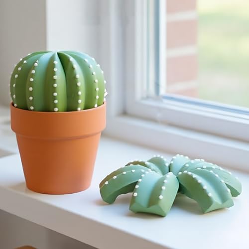 Dessous de verre cactus avec support pot de fleurs pour protection table - 3