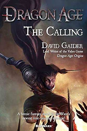 Dragon Age: The Calling view 2