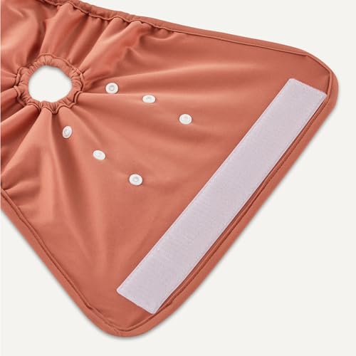 Image of Amazon Basics Reusable Washable Dog Diapers, Highly Absorbent, Female, Large, 3-Pack, for Senior Pets, Incontinence, Fertility Cycles