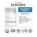 Bearded Brothers, Organic Vegan Protein Energy Bars, Blueberry Vanilla (12 Pack) - Gluten Free, Paleo, Fiber, Whole 30 | Non GMO Low Glycemic Snacks
