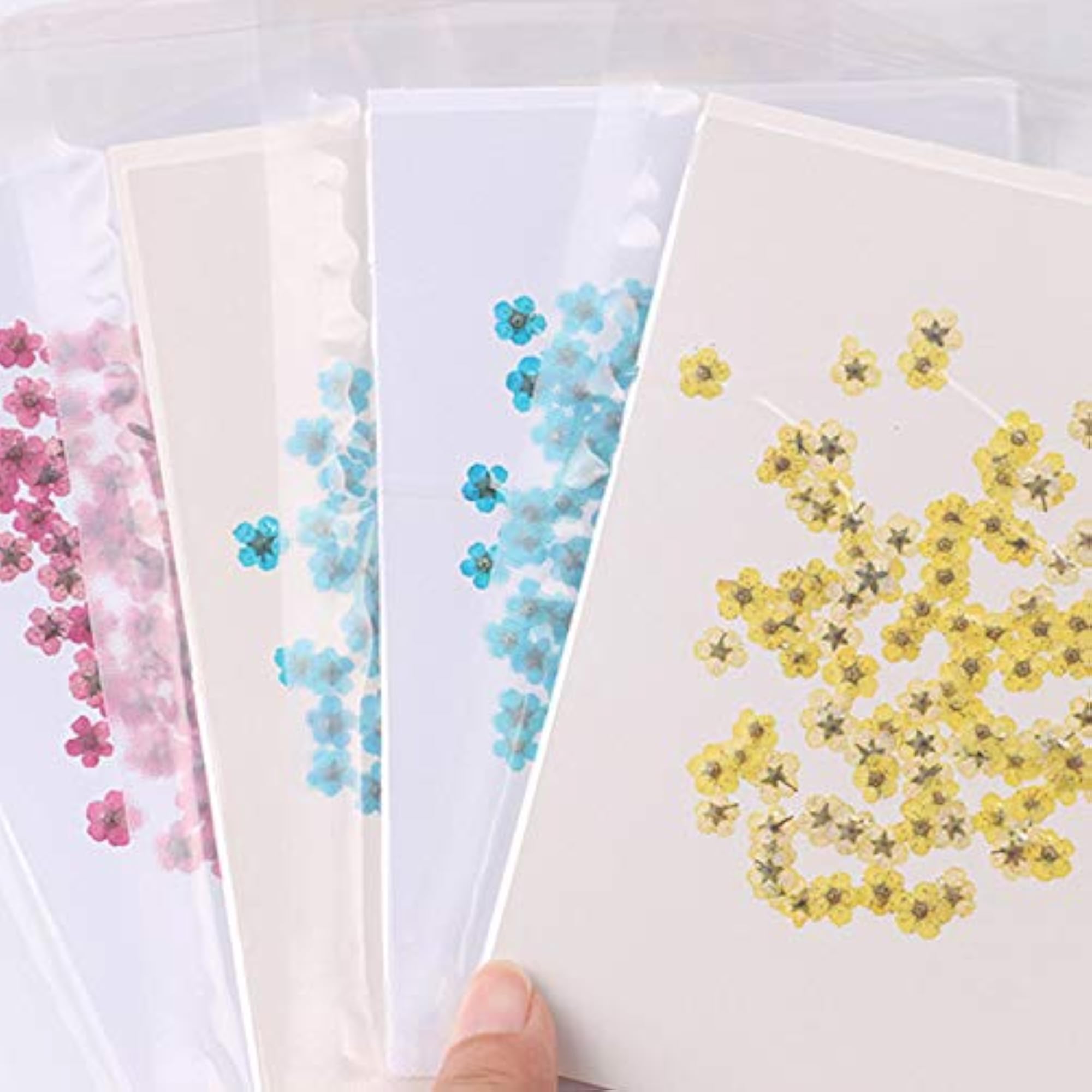 100 Pcs Pressed Flower for Resin Craft Making