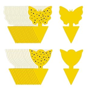 KEWUZY 60 x Gelbsticker Trauermücken, Fliegenfalle, Gelbtafeln Fruchtfliegenfalle klebefalle Insektenfalle für die Zimmerpflanzen Schädlingsbekämpfung