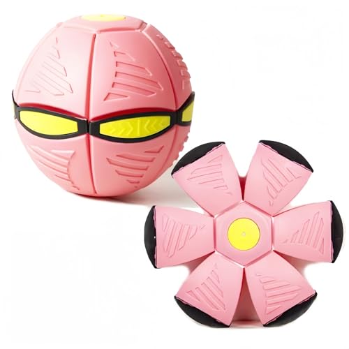 BDHD }WbNtCO{[ ό`WsO{[ ݂ OΉ tCOfBXN m^ qp  e͐ (22.5*22.5*4cm,CgsN) [sAi]