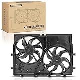 Frankberg Ventilateur de refroidissement moteur compatible avec Jumper Bus 2.0L-3.0L 2006-aujourd'hui, Ducato Bus 250, 2.2L, 2.3L, 3.0L, 2006-aujourd'hui, Boxer Bus 2.0L-3.0L, 2006-aujourd'hui