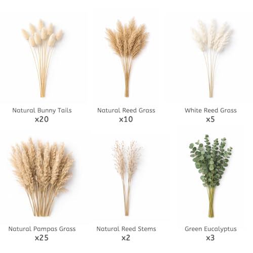 Ramo Natural de 65 Tallos de Flores Secas para Decoración miniatura 4