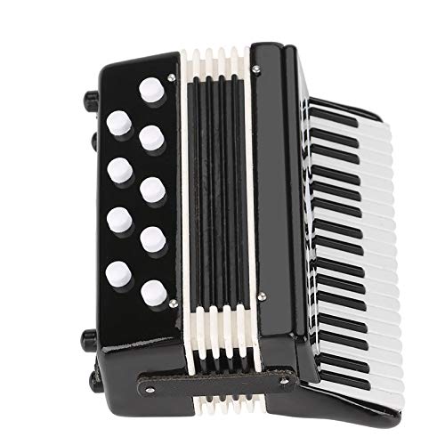 Mini accordéon en plastique et métal avec sa boîte de rangement pour décoration