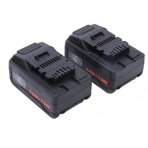 JIUQIBA978 Zwei x 20V 4.8Ah Lithium-Akku Ersatz kompatibel mit Ferrex20V40V Elektrowerkzeuge