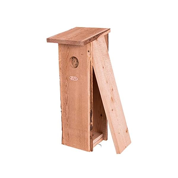 SIDCO Nistkasten Buntspecht Vogelhaus Holz Nisthöhle Specht Nisthilfe Futterhaus Deko – Bild 4