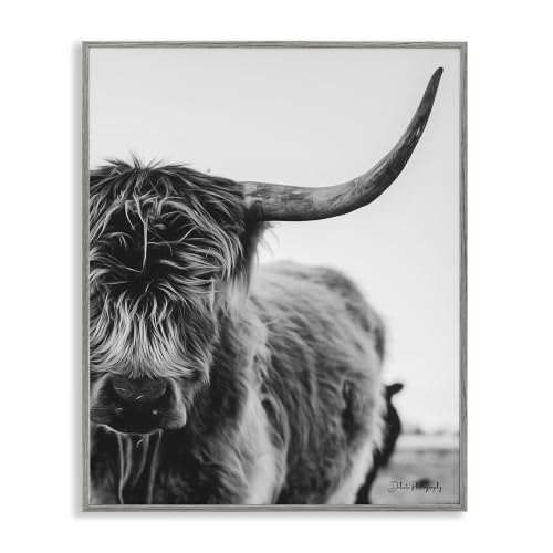 Highland Cow Serene Photography, 11 x 14 Inch Framed Giclée Print