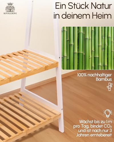 RoyalGrove® Kleiderständer mit 2 Ablagen aus Bambus weiß, Garderobenständer mit stabiler Kleiderstange, Garderobe mit Schuhregal, für Flur, Schlafzimmer, 160 x 80 x 44 cm (Weiß)