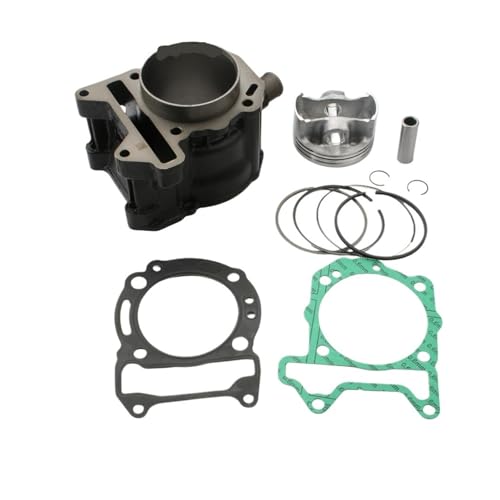 Cylindre Oregon 250cc 4T et Nexus 250 piston segments pour moteur thermique scooter 843517