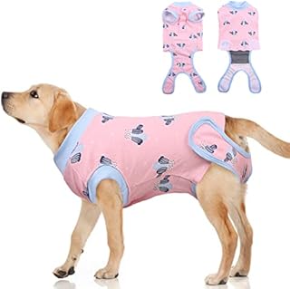 Dog Surgical Recovery Suit, Dog Onesie Medical Vest Puppy Abdominal Wounds Skin Protect Post Operative Body Suit Anti-Biting Lick Wound for Male/Female Small Medium Large Dogs(Green Stripes, XS)