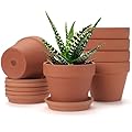 KOAMLY 6Pcs 5incn Plant Nursery pots, Mini Planter with Drain, Succulent Seedling Planter, use with Indoor, windowsill, Terra Cotta red Flower pots Wedding Decoration Best Gift for Aunts (5)