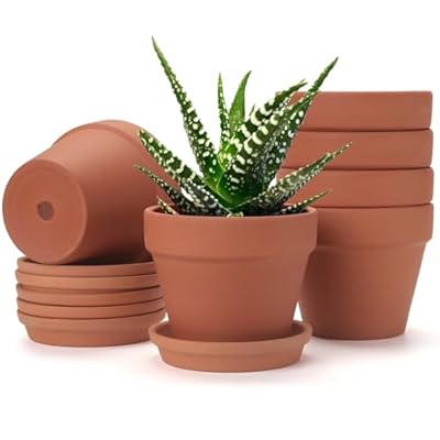 KOAMLY 6Pcs 5incn Plant Nursery pots, Mini Planter with Drain, Succulent Seedling Planter, use with Indoor, windowsill, Terra Cotta red Flower pots Wedding Decoration Best Gift for Aunts (5)