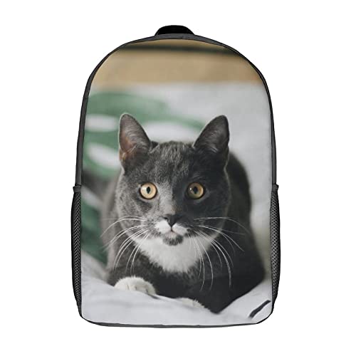 Sac à dos chat 17 pouces mixte pour l'école et les voyages des enfants