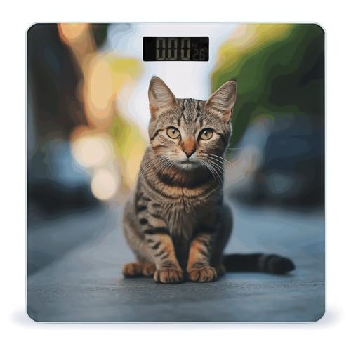 Báscula digital para baño diseño Brown Tabby Kitten miniatura 1
