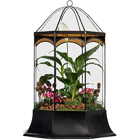 H Potter Eight Sided Terrarium Wardian Case with Curved Glass and Brown Accents Large Cover