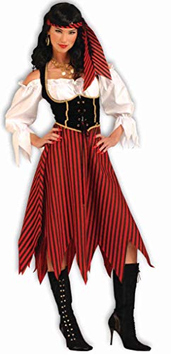 Rubies Pirate Maiden Costume Dress for Adults, Women's Standard