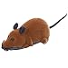 Nogan Giocattoli per ratti telecomandati Giocattolo per Gatti Telecomando Senza Fili Giocattolo per Mouse Elettrico RC Cucciolo di Gatto Giocattolo per Bambini Divertente novità Giocattolo Unusual