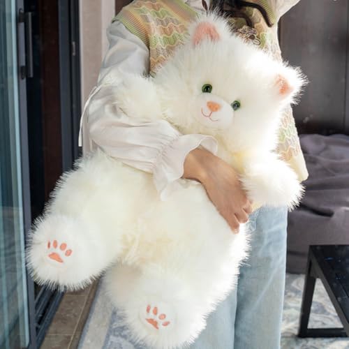 ʂ _炩  ӂӂ ܂  D  ʔ ˂  L  _bN ɗD q  j NX}X a X v[g