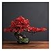 Sztuczne rośliny ekspozycyjne drzewo artystyczne bonsai sztuczne rośliny doniczkowe drzewo 25 cm szerokości sztuczne rośliny domowe drzewo klonowe bonsai sztuczna roślina do domu dekoracja półka na książki dekoracje ozdoby