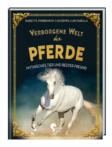 Verborgene Welt der Pferde
