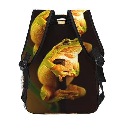 Frog Backpack Animal Laptop Backpack Funny Tablet Travel Picnic Travel Bag Cute Laptop Bag Cute Bag4