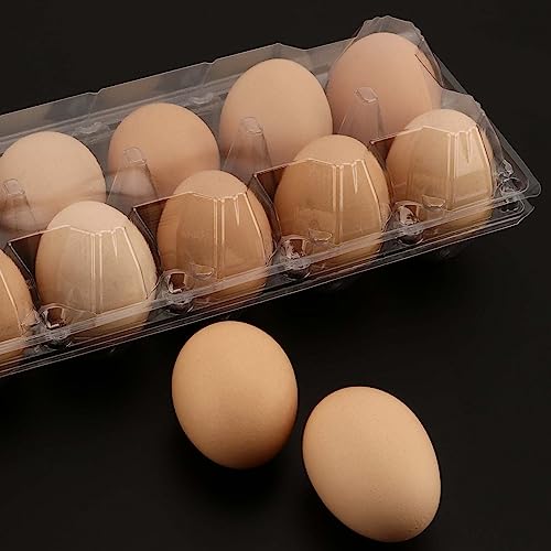 JAPCHET 60 Pack Plastic Egg Cartons, Clear Egg Cartons For 12 Chicken Eggs, Empty Plastic Egg Cartons Cheap Bulk Reusable Egg Holder for Kitchen, Farm and Camping