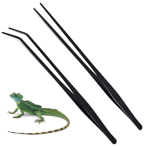 GNALIA Pince Aquarium : 1 Droite + 1 Courbée En Acier Inoxydable. Longueurs 25Cm-27Cm. Pour Reptiles Et Plantes Aquatiques. Couleur : Noir. Outil De...