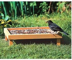Square Ground Bird Table