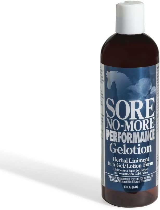 Arenus Sore No More Performance Gelotion 12 oz