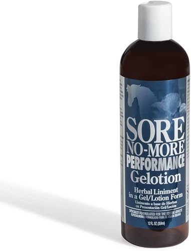Arenus Geloción Sore No More Performance 12 oz