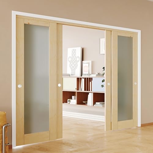SOLRIG Closet Doors, 1-Lite Frosted Glass Bypass Barn Door for