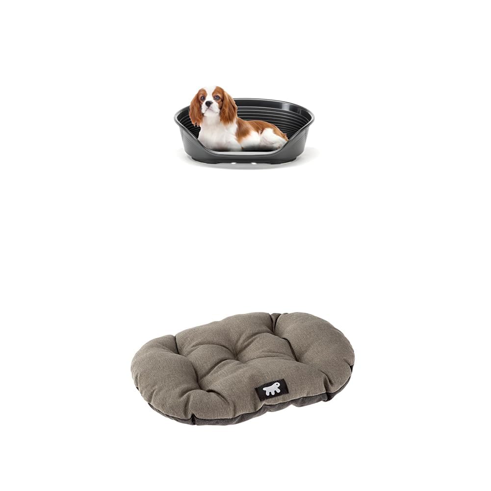 Panier chien respirant et antidérapant avec coussin douillet amovible