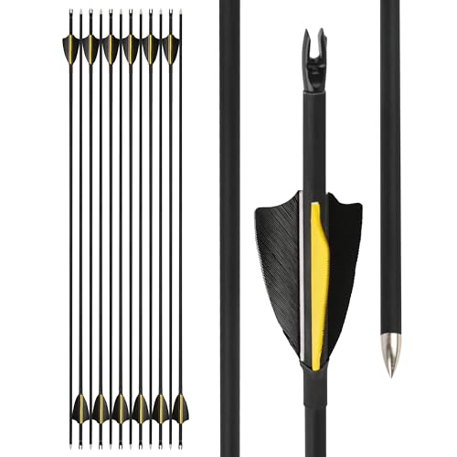SHARROW 31"�A�[�`�F���[�^�[�Q�b�g�A���[ �J�[�{���A���[ ID4.0mm&OD6.0mm�Y�f�� 60GR�̖�� �n���e�B���O�A���[ �X�p�C��1000 �R���p�E���h�{�E�����J�[�u�{�E�p 12pcs (����)
