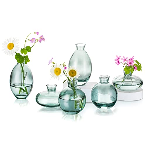 Hewory Kleine Vasen für Tischdeko, 6 Stück Vase Glas Mini Vasen Set...