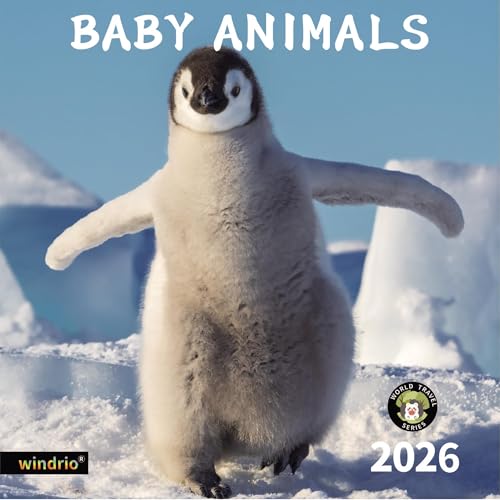 Kalendarz ścienny 2024, 14-miesięczny kalendarz ścienny, małe zwierzęta, listopad 2023 - grudzień 2024, 30 x 61 cm, otwarty, pełna strona miesięcy gruby i solidny papier na prezent, idealny kalendarz